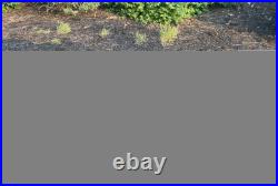 12-16.5 SKS-1 Skid Steer Tires/Rims for New Holland & more-14PLY-12X16.5