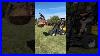 New Holland Ml12t Demo